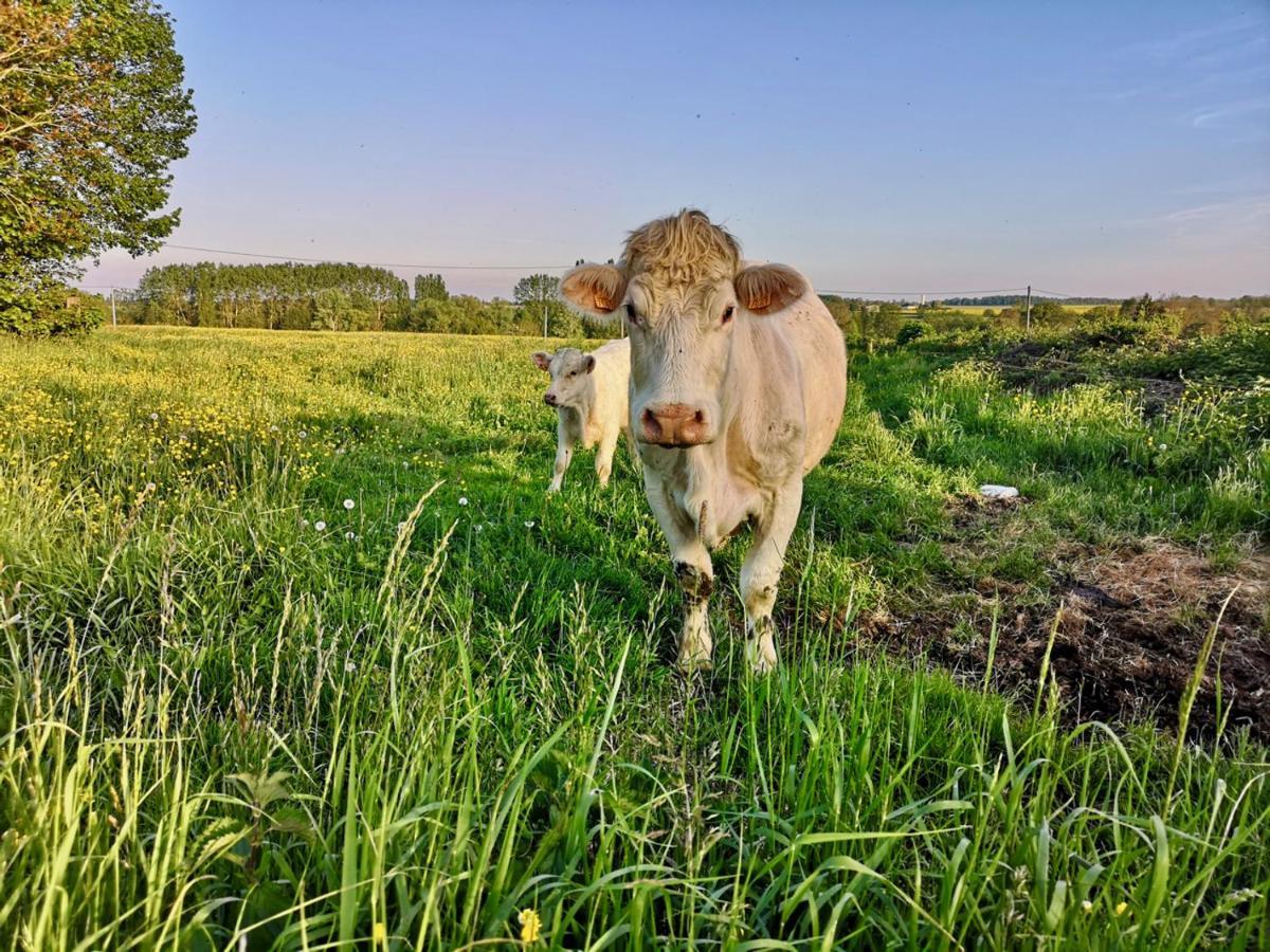 L'Etap'Corteline Saint-Rémy Dış mekan fotoğraf